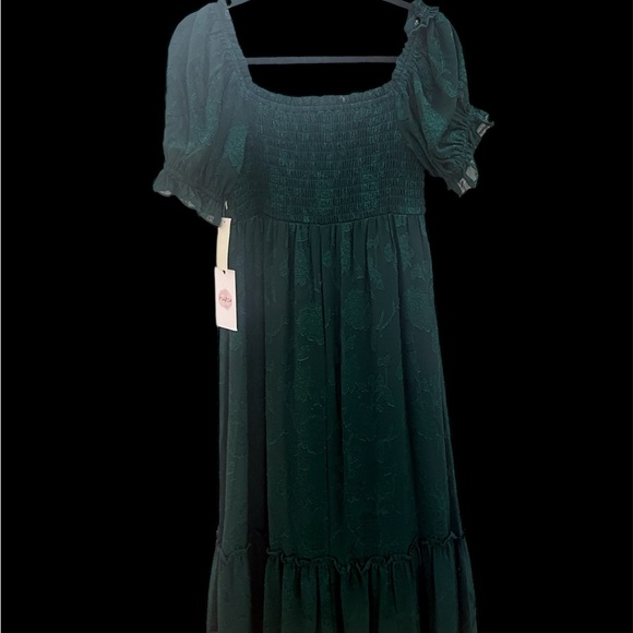 MIDNIGHT DOLL. Junior Dress. Size Large. New with tags. Green Lace - Picture 2 of 3